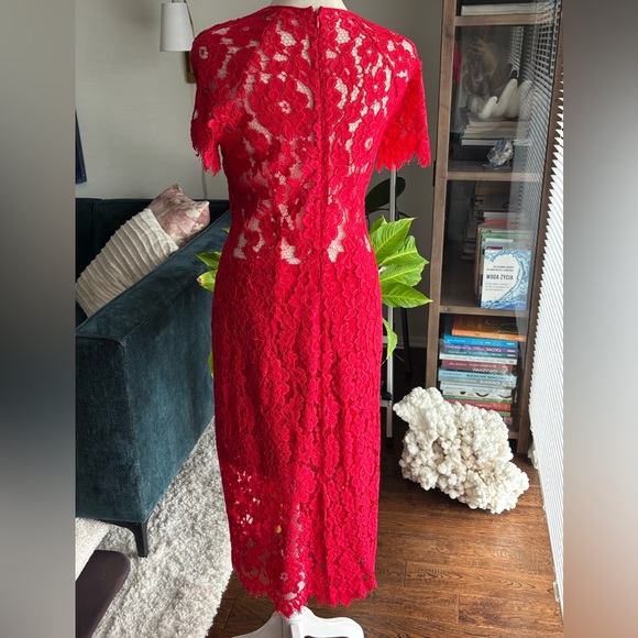 Alexis Midi Red Lace Dress - Picture 6 of 14